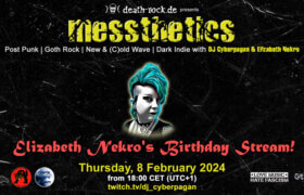 08.02.2024: messthetics Livestream